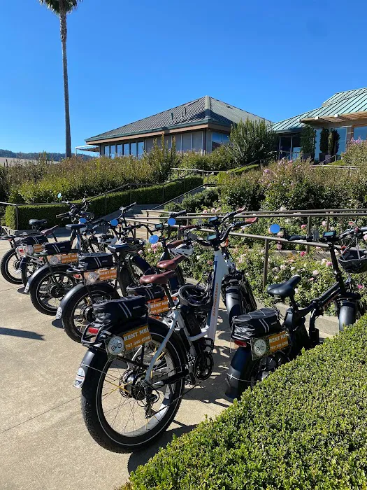 Fat Tire Bike Rentals Picture 5