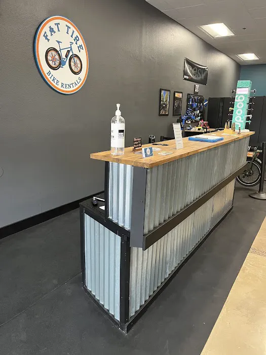 Fat Tire Bike Rentals Picture 6