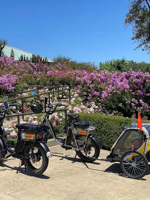 Fat Tire Bike Rentals Picture 10