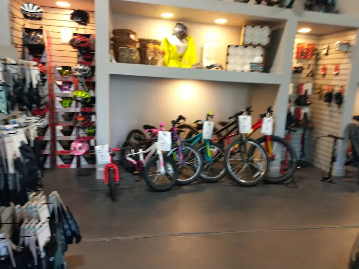 Napa Valley Bike Shop Picture 5