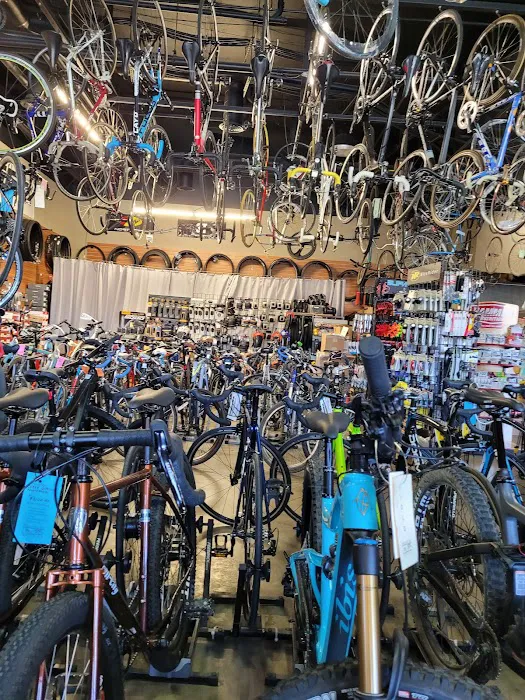 Napa Velo Picture 2