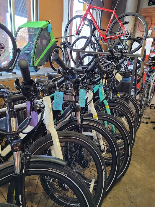Napa Velo Picture 9