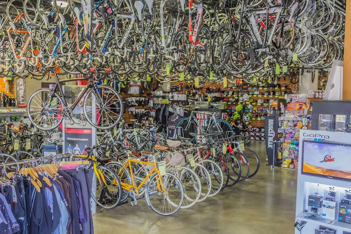 Napa Velo Picture 7