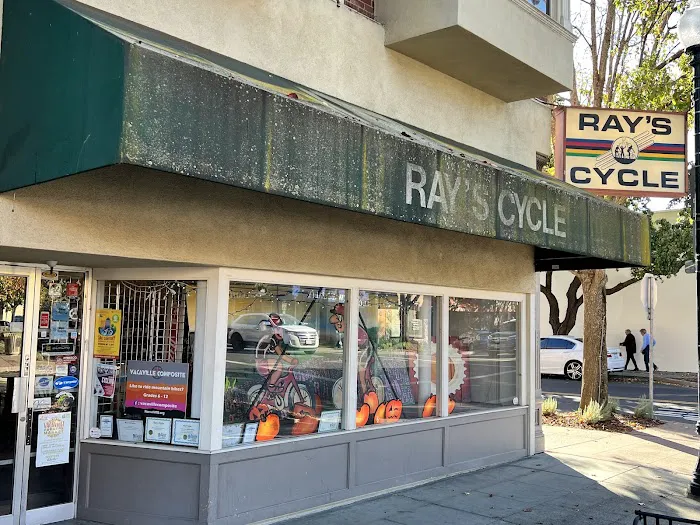 Ray's Cycles Picture 4