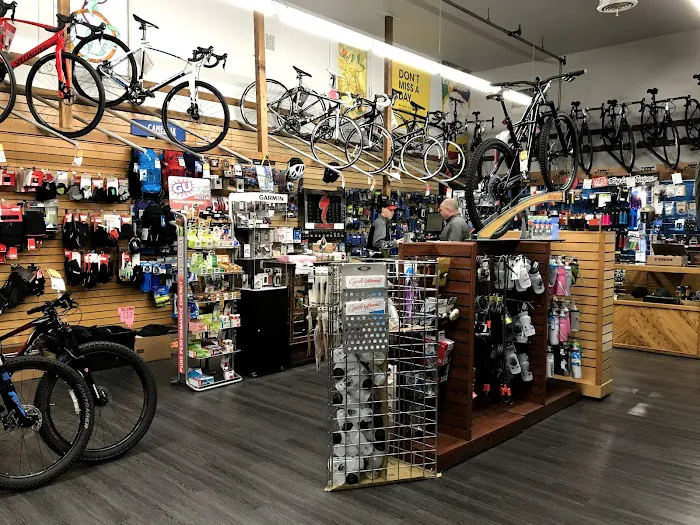 Ray's Cycles Picture 7