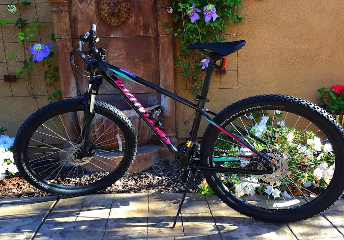 Ray's Cycles Picture 8