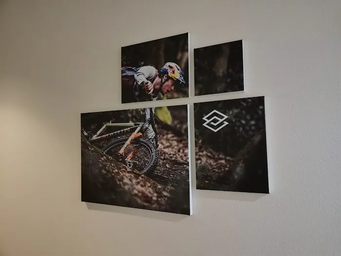 Marin Mountain Bikes, Inc. Picture 7