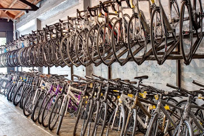 Summit Bicycles Picture 6