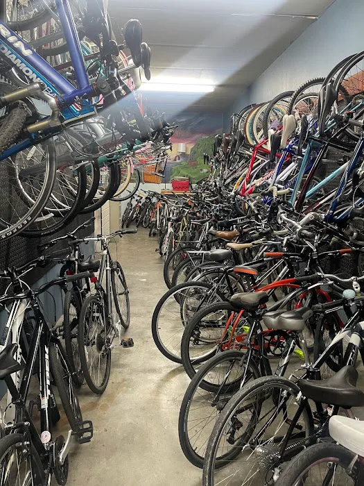 Alan Gorman Bicycle Specialist Picture 3