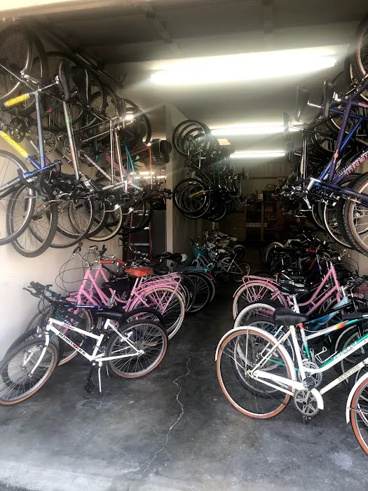 Alan Gorman Bicycle Specialist Picture 8