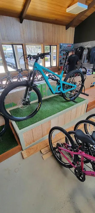 Straight Wheel Cycling Picture 3
