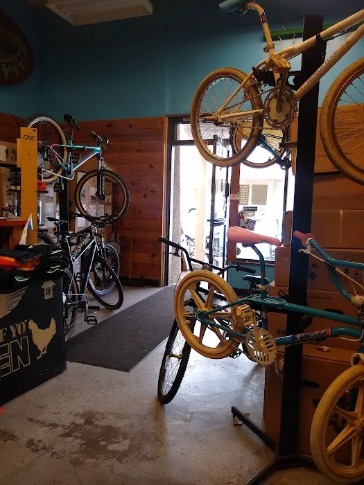 Gearhead Bicycles Picture 5