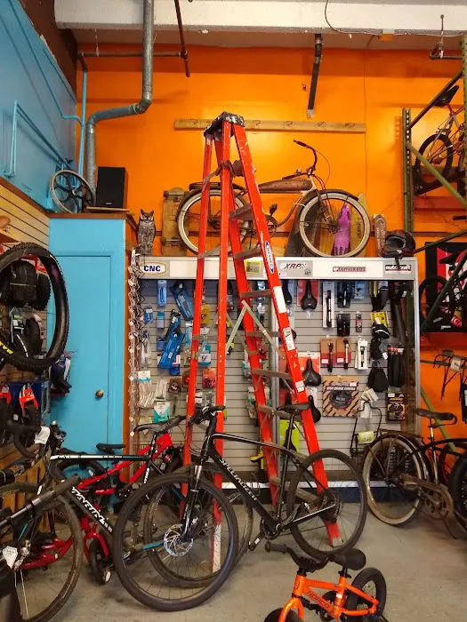 Gearhead Bicycles Picture 6