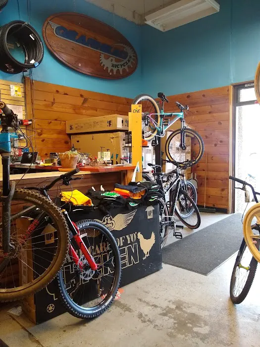 Gearhead Bicycles Picture 4