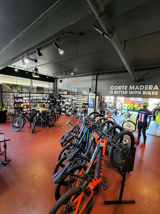 Trek Bicycle Corte Madera Marin Picture 2