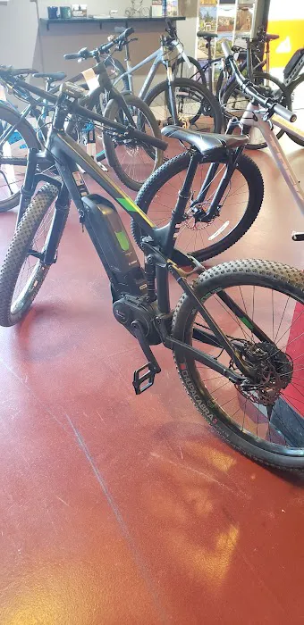 Trek Bicycle Corte Madera Marin Picture 5
