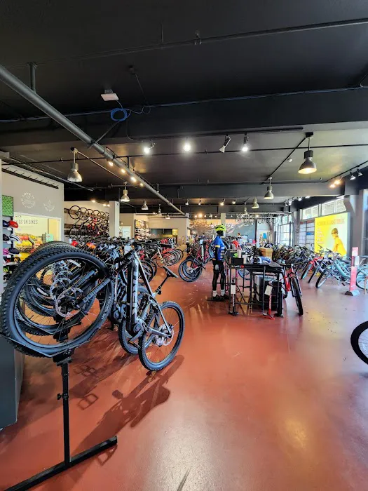 Trek Bicycle Corte Madera Marin Picture 6