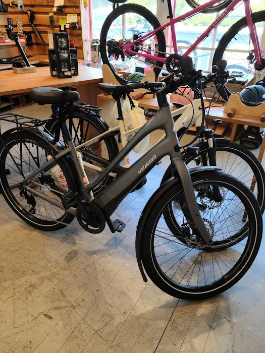 The New Wheel Electric Bikes Picture 1