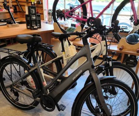 The New Wheel Electric Bikes