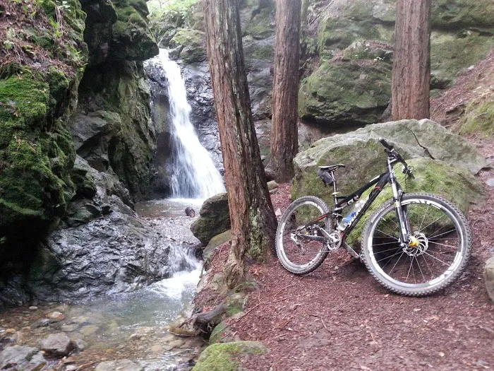 Spearhead Bicycle Excellence Picture 3