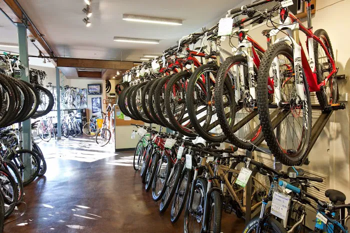 Mike's Bikes of Sausalito Picture 1