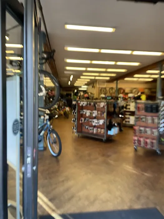 Mike's Bikes of Sausalito Picture 8