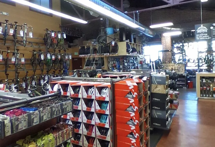Mike's Bikes of Petaluma Picture 3