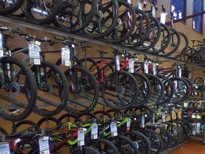 Mike's Bikes of Petaluma Picture 9