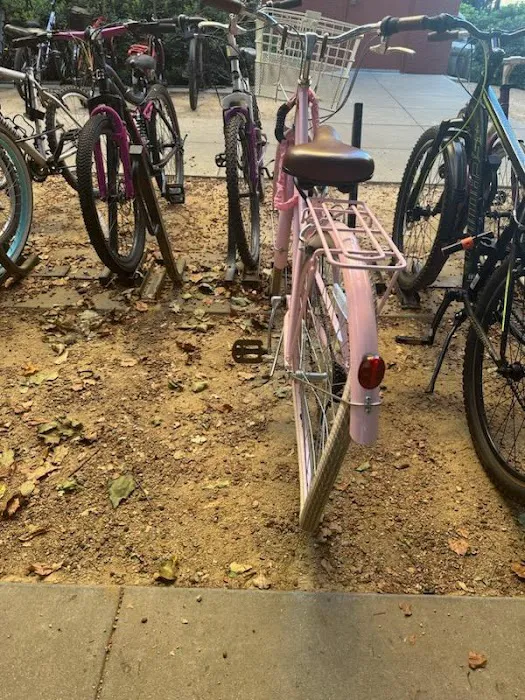 Green Bicycle Depot Picture 8