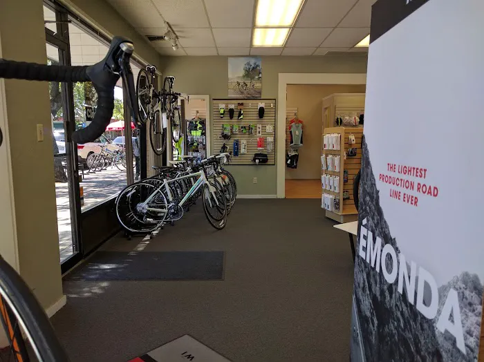 Freewheeler | Bicycle Center Picture 6