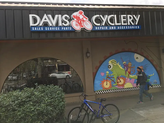 Davis Cyclery Picture 3