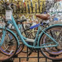 Davis Cyclery ico