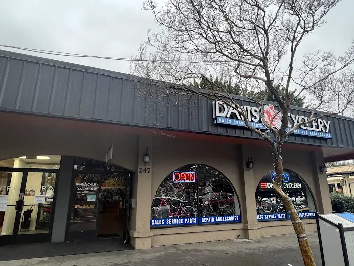 Davis Cyclery Picture 4