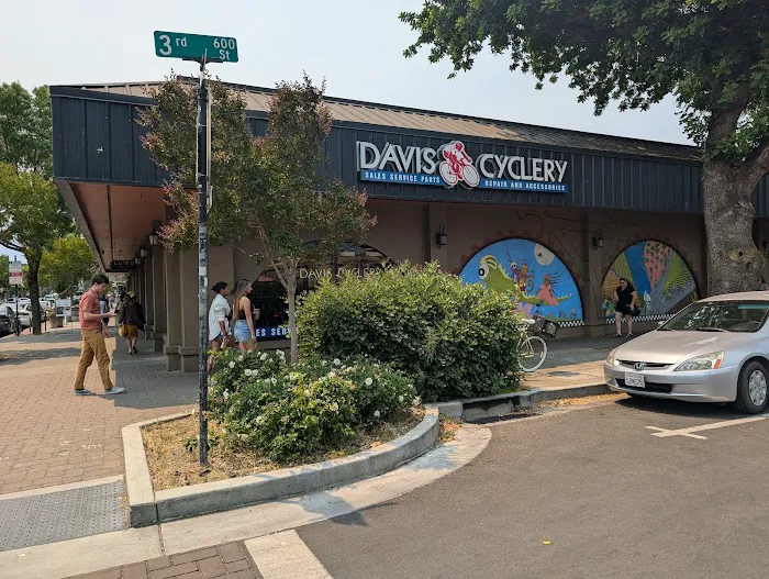 Davis Cyclery Picture 7