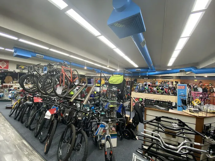 Ken's Bike-Ski-Board Picture 7