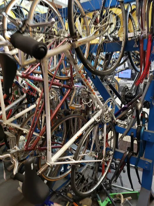 Davis Bike Exchange Picture 6