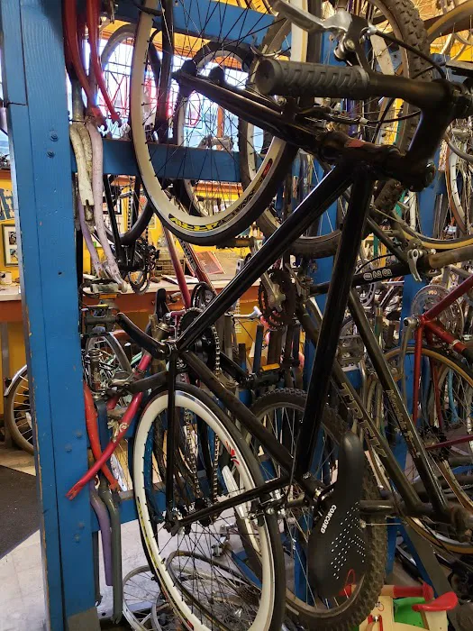 Davis Bike Exchange Picture 10
