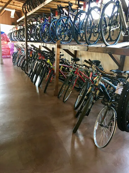 The Hub Cyclery Picture 4