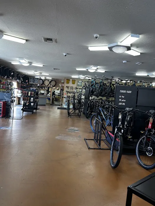Bike Peddler Picture 1
