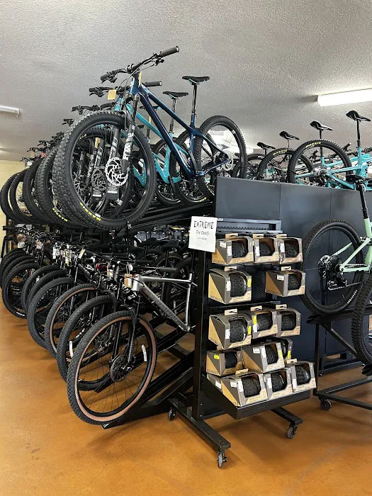 Bike Peddler Picture 6