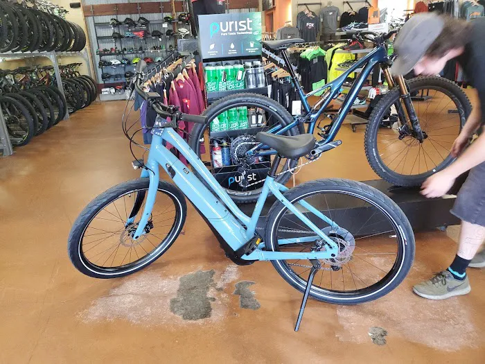 Bike Peddler Picture 4