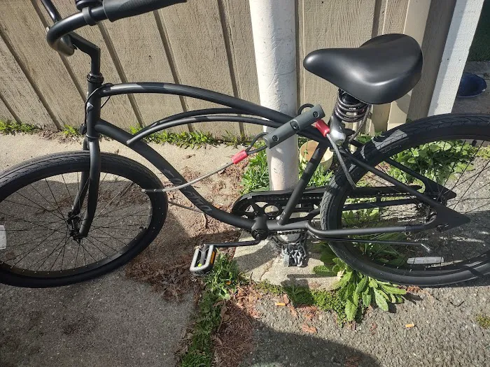 Bike Peddler Picture 10
