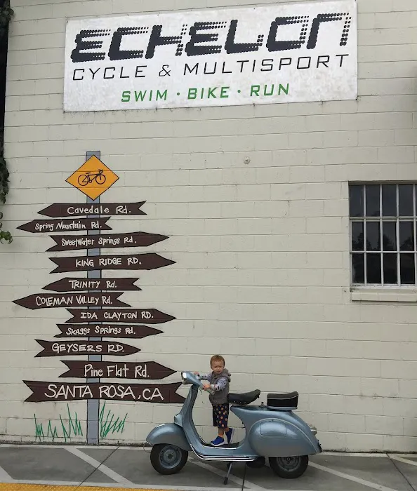 Echelon Cyclery Picture 10