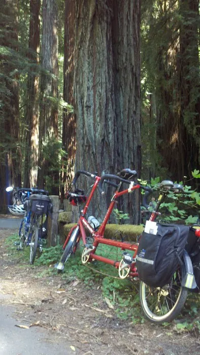 BikePartners Folding Brompton Bicycles Picture 6