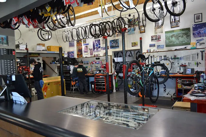 Norcal Bike Sport Picture 5