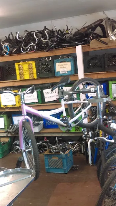 Community Bikes Picture 6