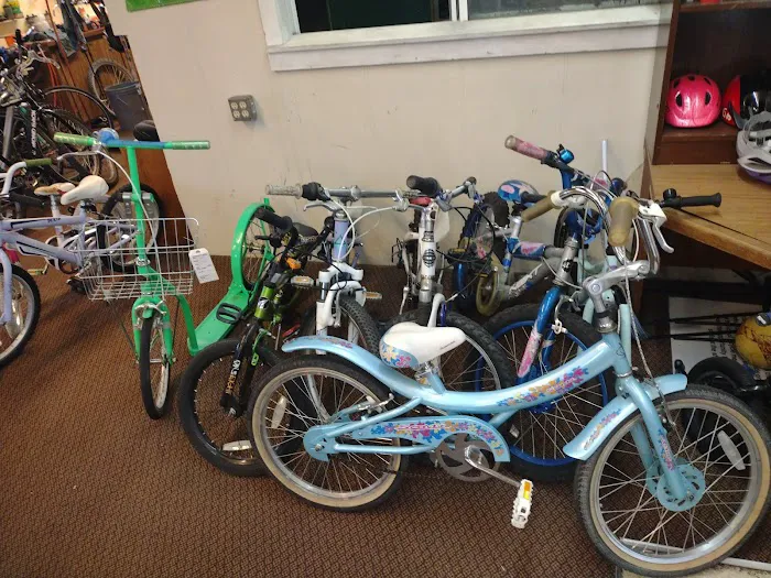 Community Bikes Picture 4