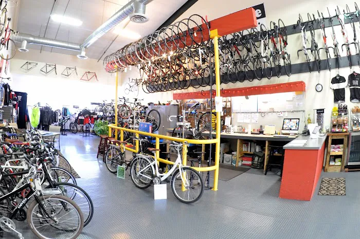 Sebastopol Bike Center Picture 2