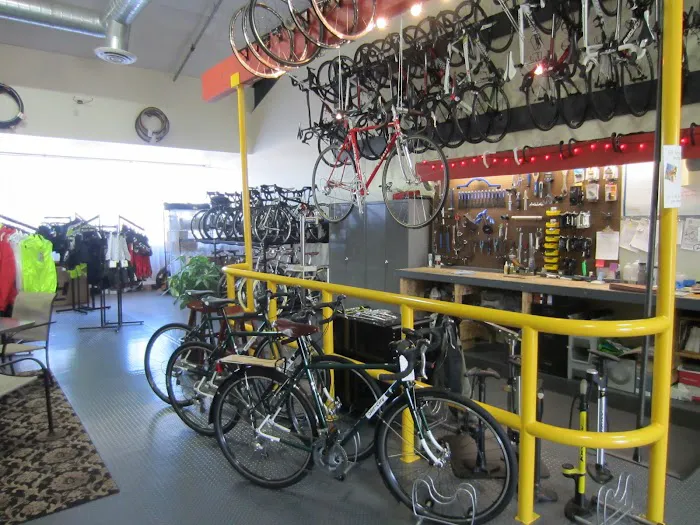 Sebastopol Bike Center Picture 4