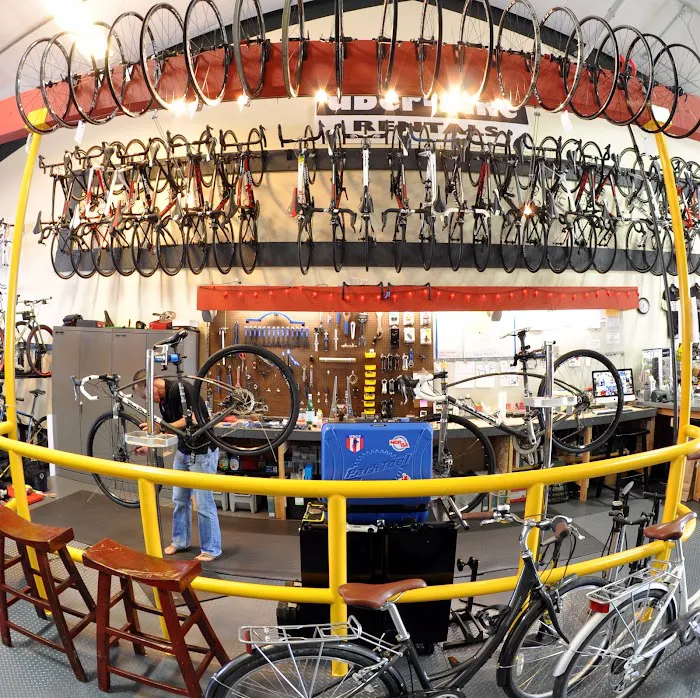 Sebastopol Bike Center Picture 7